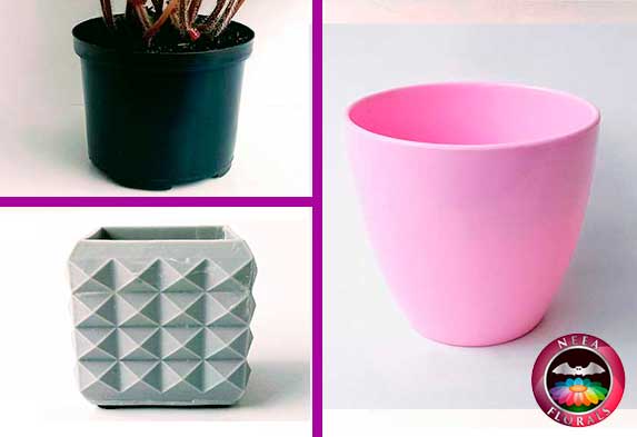 tipos de materas para tus plantas. Macetas de plástico: (izquierda arriba) Materas plásticas estándar; (derecha) Macetas plásticas decorativas; (izquierda abajo) materas plásticas modernas de poliéster, resina, polietileno, fibra de vidrio, poliuretano. Catálogo Neea Flora. Puedes comprar estas materas plásticas en Bogotá en el vivero a domicilio neeaflora.com